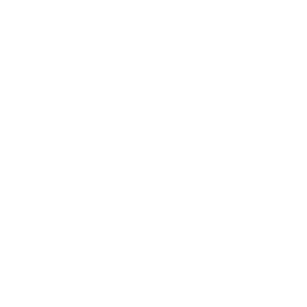 Icone « réussite » Icone "réussite"